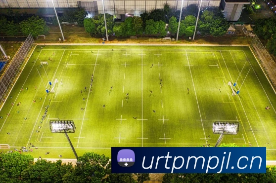 中国女足备战状态更新 球队阵容调整与人员伤病情况一览